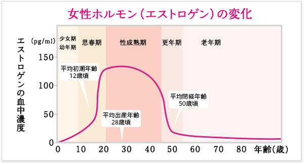 エストロゲン