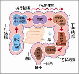 更年期男性の便秘