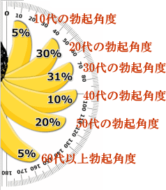 ペニ勃起角度図