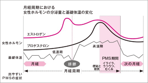 生理痛とホルモン