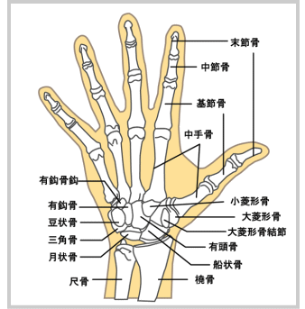 指関節の痛み