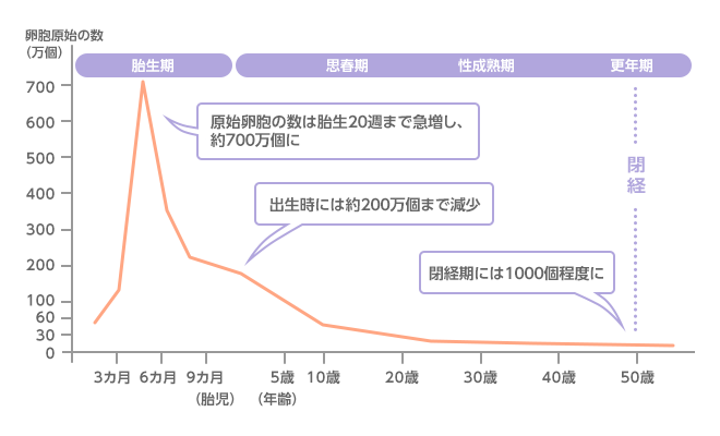 生理のしくみ1